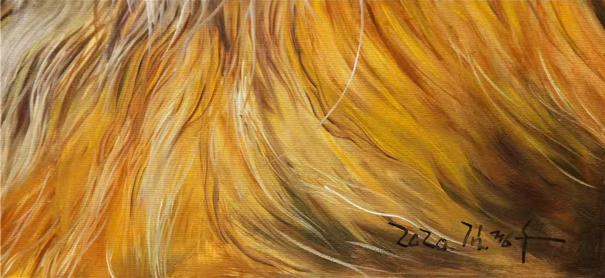 Original Oil Painting "Maine Coon Cat Portrait" by First-Class Painter Kim Jong Su – Collectible Hand-Painted Hyper-Realist Animal Art 758