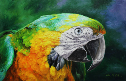 Original Hyper-Realistic Oil Painting "Parrot" by Meritorious Artist Kim Young-chul | Hand-Painted Animal Wall Art 1293
