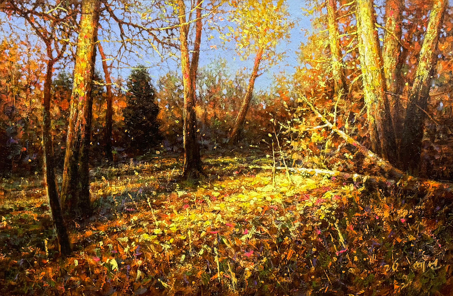 "The Sun-Drenched Clearing" - Original Impressionist Backlit Autumn Landscape Oil Painting by First-Class Artist Kim Ye Seon | 53x35cm Hand-Painted Textured Forest Canvas (Pre-Framed in Premium Aluminum Alloy) 19496