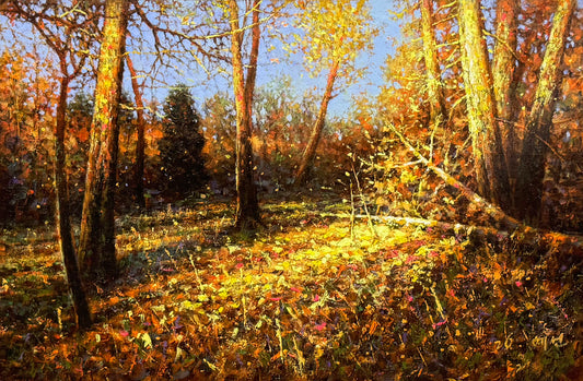"The Sun-Drenched Clearing" - Original Impressionist Backlit Autumn Landscape Oil Painting by First-Class Artist Kim Ye Seon | 53x35cm Hand-Painted Textured Forest Canvas (Pre-Framed in Premium Aluminum Alloy) 19496