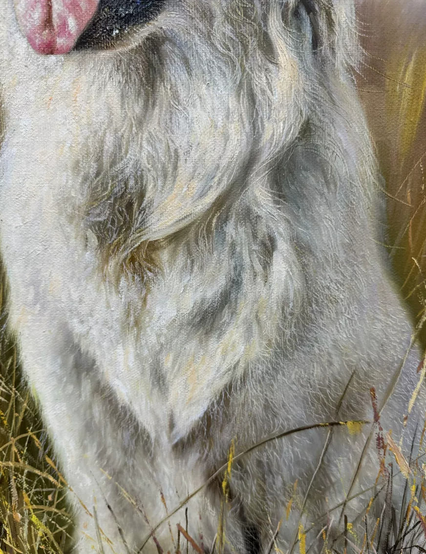 Original Labrador Retriever Oil Painting by Zhang Zhexun 19888