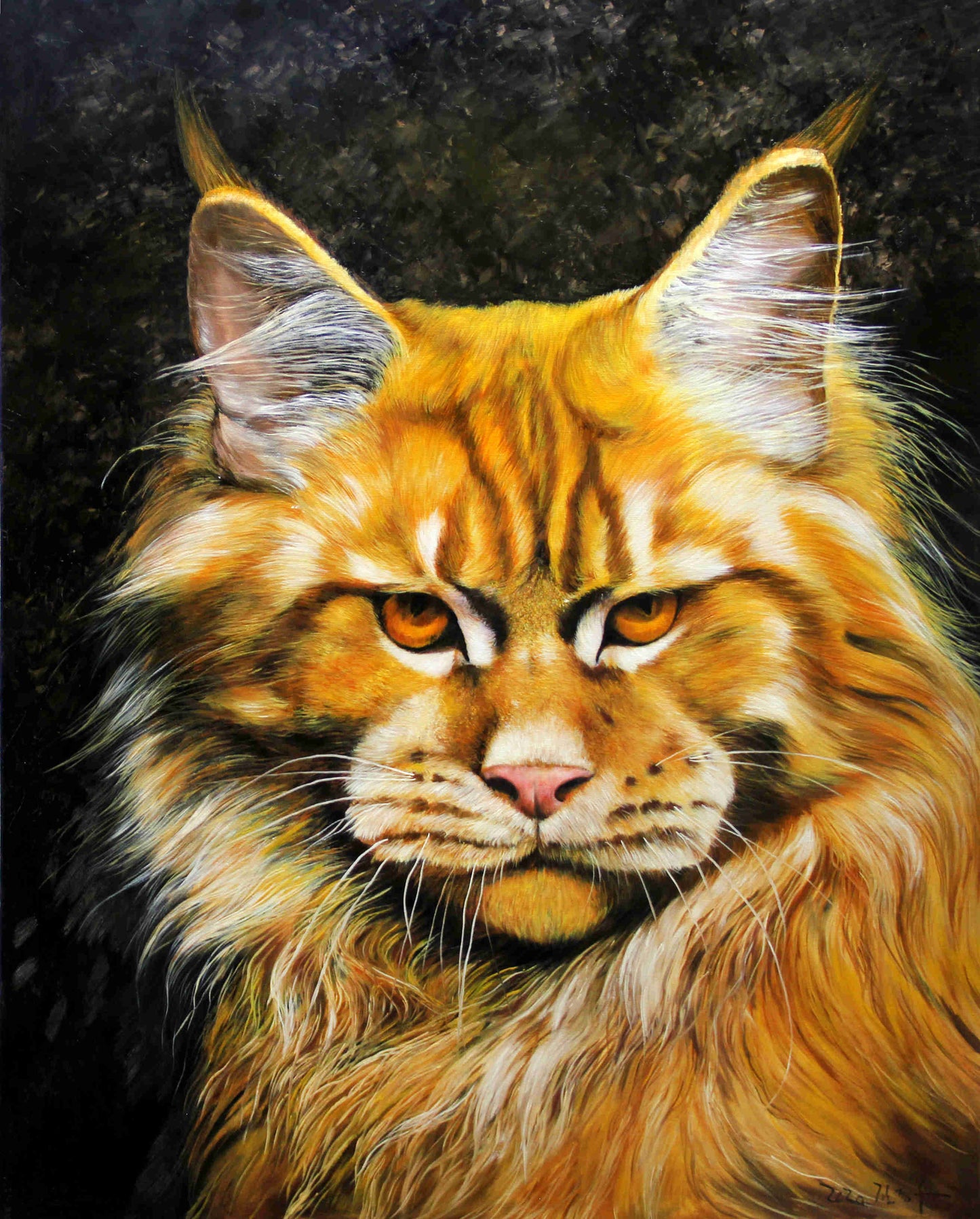 Original Oil Painting "Maine Coon Cat Portrait" by First-Class Painter Kim Jong Su – Collectible Hand-Painted Hyper-Realist Animal Art 758
