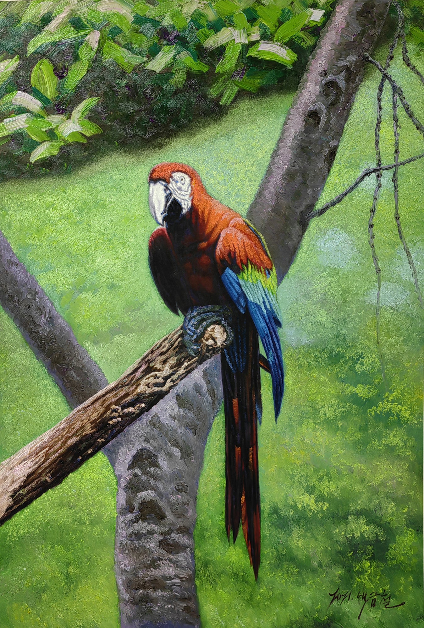 Original Oil Painting – Scarlet Macaw | Hand-Painted Hyper-Realist Bird & Animal Art by Pak Kim Chol 8576