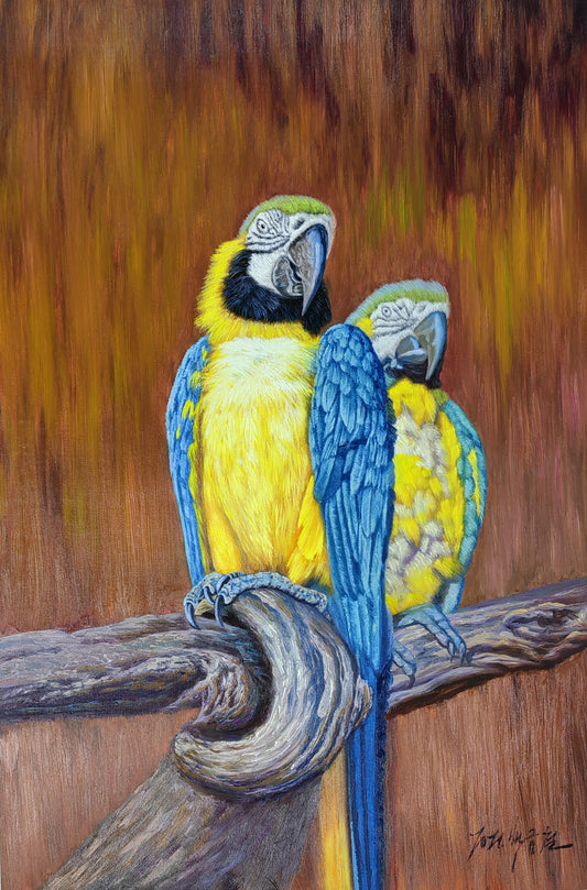 Original Oil Painting – Blue and Yellow Macaws | Hand‑Painted Hyper‑Realist Bird Art by Pak Kim Chol 8594