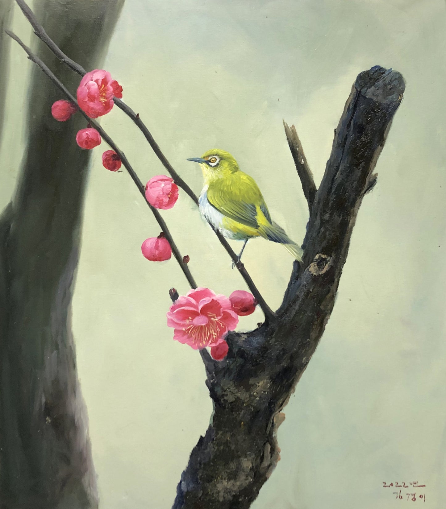 Original Oil Painting – Japanese White-Eye on Plum Blossom | Hand-Painted Hyper-Realist Bird Art by Kim Kyung Mi G2065