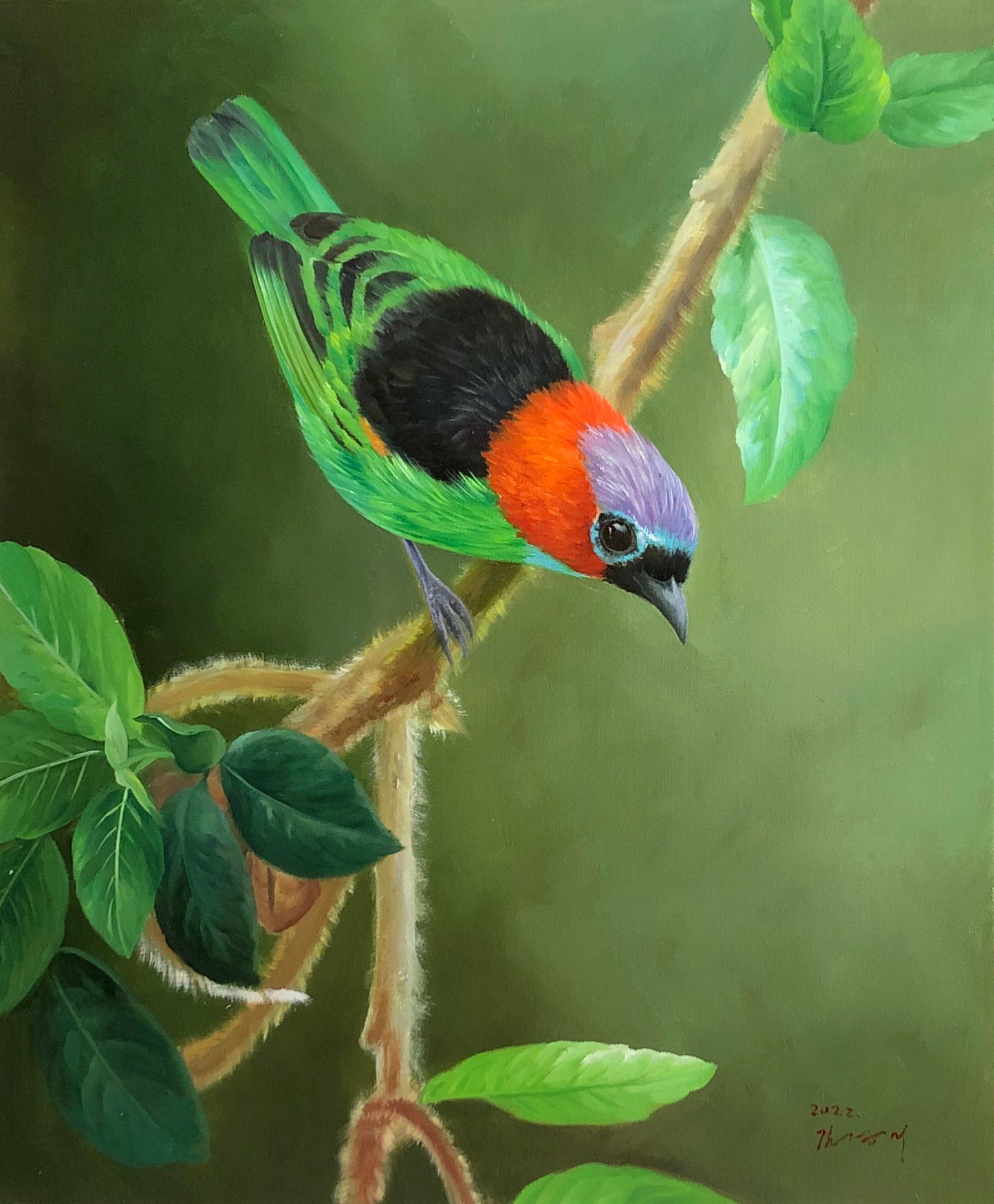 Original Oil Painting – Colorful Tropical Bird | Hand-Painted Hyper-Realist Bird & Animal Art by Kim Kyung Mi G2074