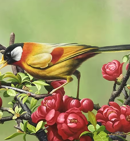 Original Oil Painting "Spring · Bird" by First-Class Artist Zhao Yizhen | Hand-Painted Animal Wall Art for Entryway 12862