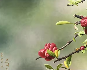 Original Oil Painting "Spring · Bird" by First-Class Artist Zhao Yizhen | Hand-Painted Animal Wall Art for Entryway 12862