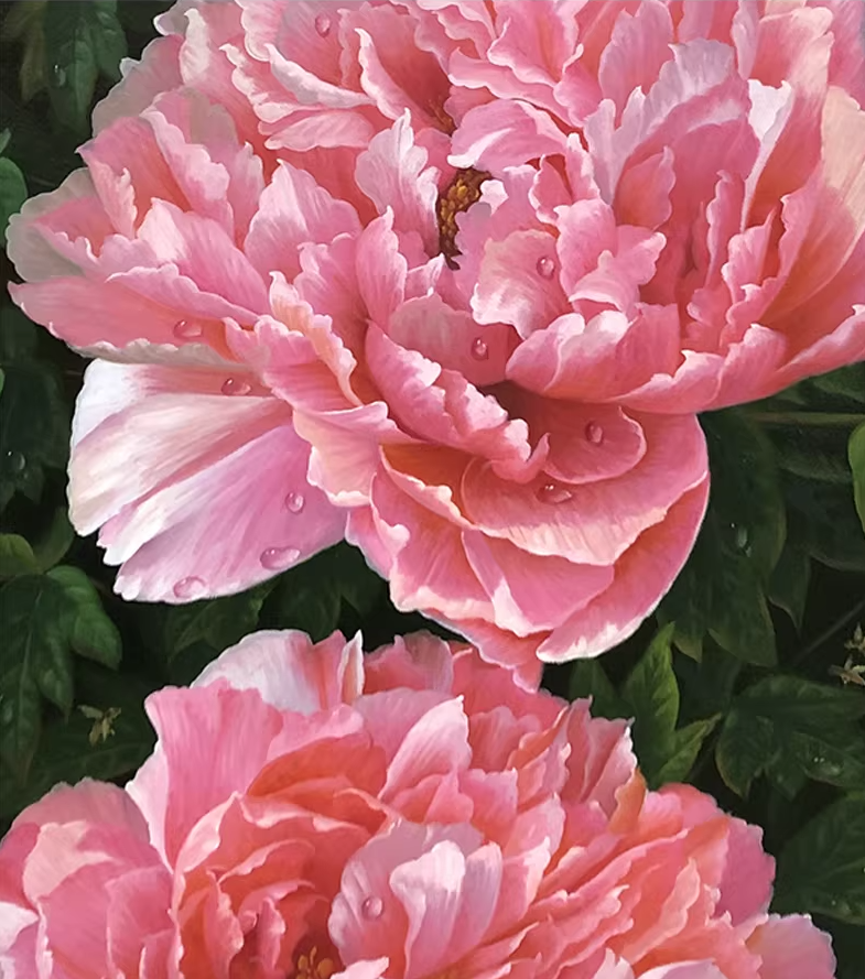 Original Oil Painting "Blooming Prosperity" by Meritorious Artist Park Hyun-cheol | Hand-Painted Peony Wall Art for Entryway 12871