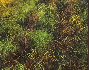 Original Oil Painting "Cabin in the Woods" by First-Class Artist Kim Chenglong | Hand-Painted Landscape Wall Art for Collection 12818