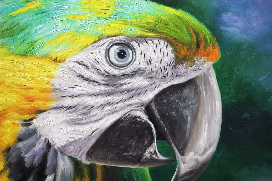Original Hyper-Realistic Oil Painting "Parrot" by Meritorious Artist Kim Young-chul | Hand-Painted Animal Wall Art 1293