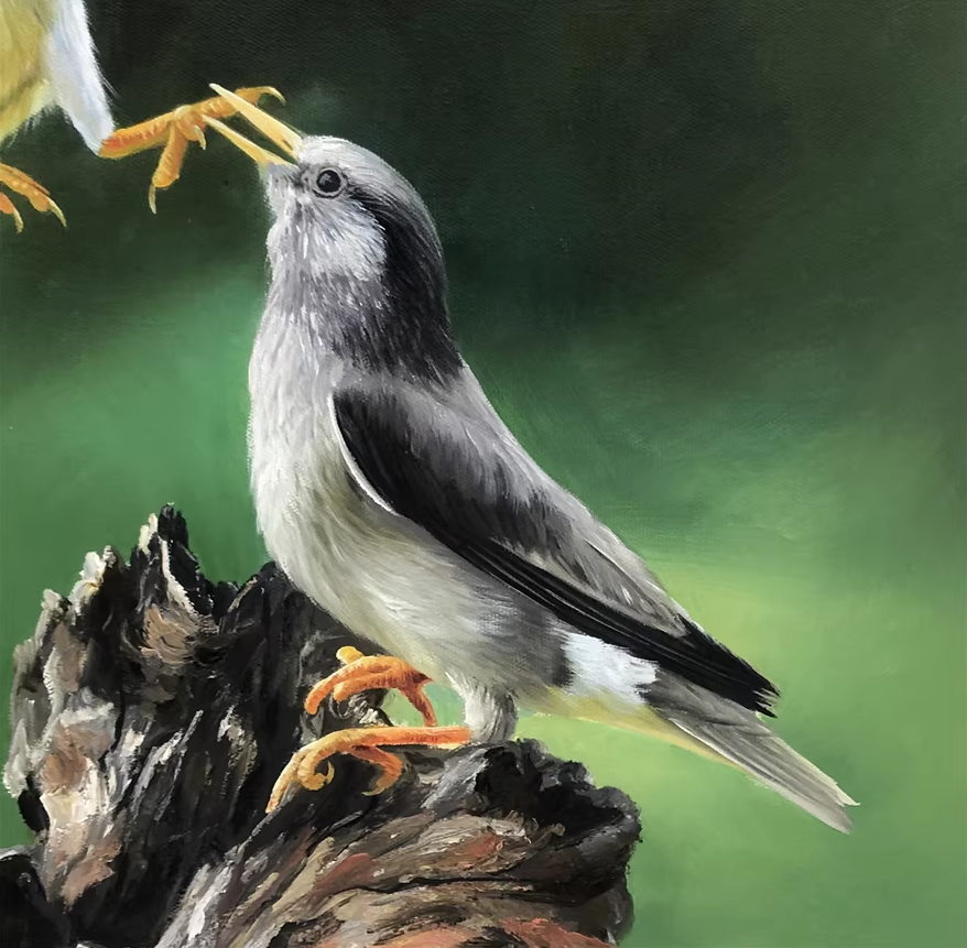 Original Oil Painting "Starlings" by First-Class Painter Kim Kyung Mi – Collectible Hand-Painted Wildlife Art G2345