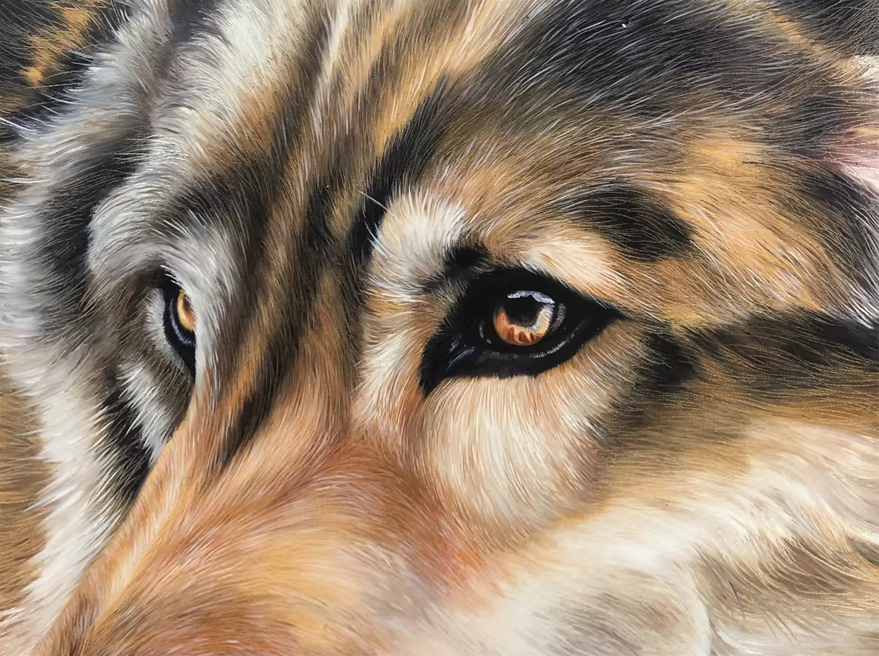 Original Oil Painting "Wolf" by DPRK First-Class Painter Kim Jong Soo – Collectible Hand-Painted Wildlife Art G2463