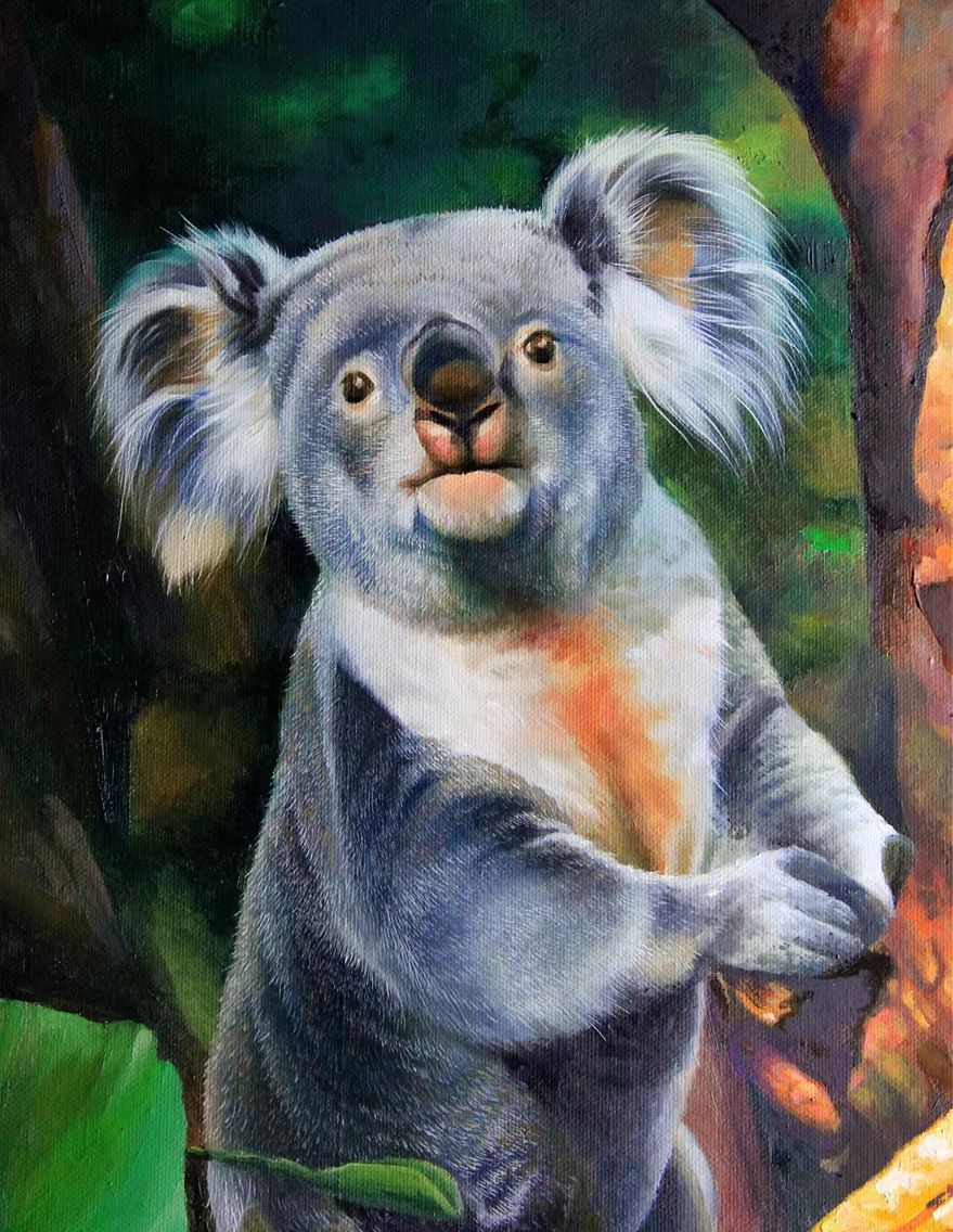 Original Oil Painting – Koala | Hand-Painted Hyper-Realist Wildlife Art by Ri Ok Hui 6484