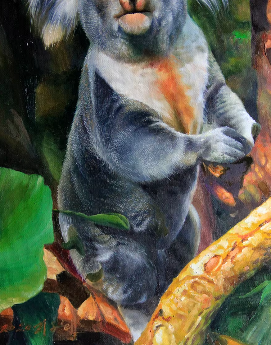 Original Oil Painting – Koala | Hand-Painted Hyper-Realist Wildlife Art by Ri Ok Hui 6484