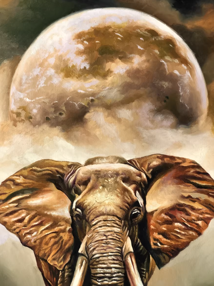 Elephant Wildlife Oil Painting by Kim Jun G2605
