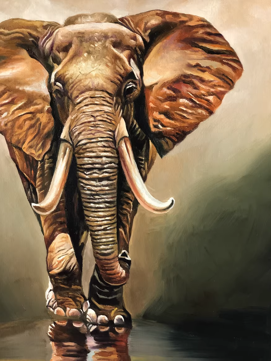 Elephant Wildlife Oil Painting by Kim Jun G2605