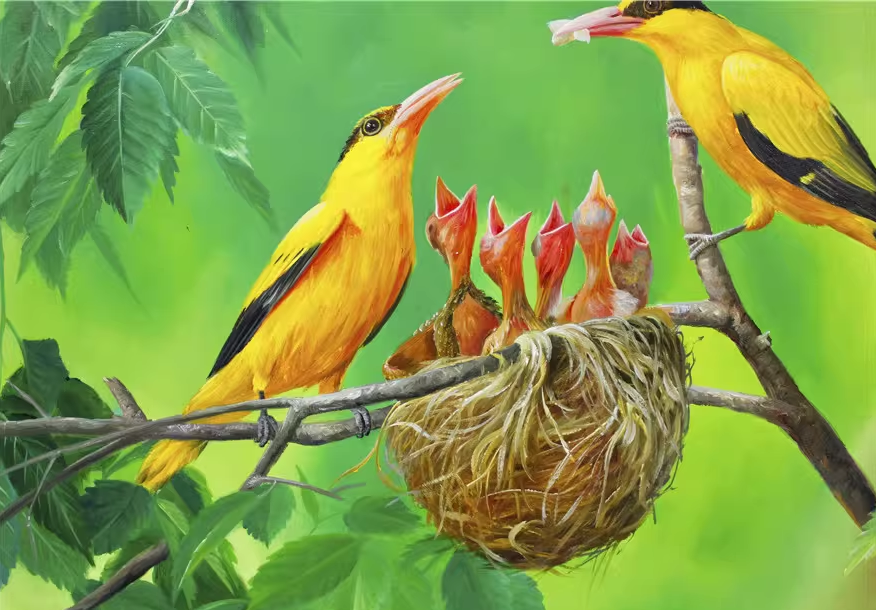 Birds Nest Oil Painting by Kim Kyong Mi | Original Hyperrealist Wildlife Art 1871