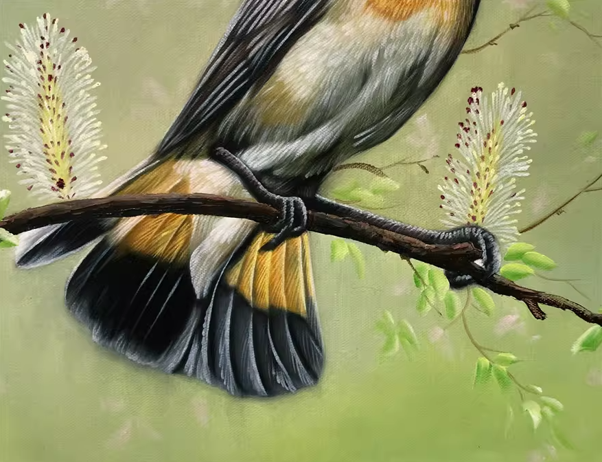 Bluethroat Bird Oil Painting by Ji Cheol Lim | Original Hyperrealist Wildlife Art 10444