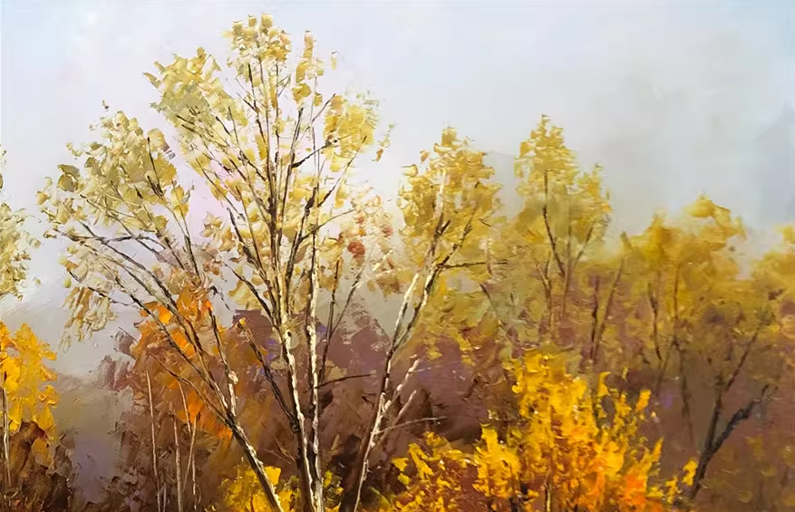 Autumn Birch Forest Stream Oil Painting by Lim Seung Hee | Original Impressionist Landscape Art  11956