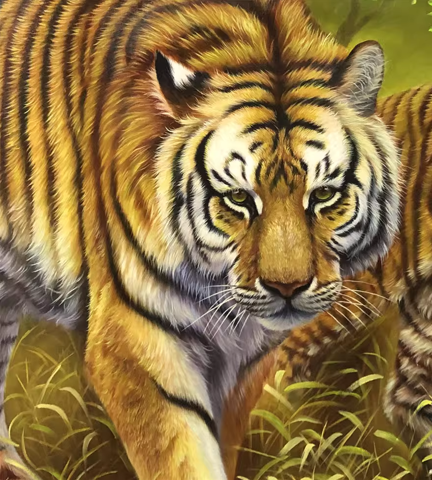 Original Oil Painting – King of the Mountain Forest | Hand-Painted Realistic Twin Tigers Animal Art by Kim Chul Jun br1436