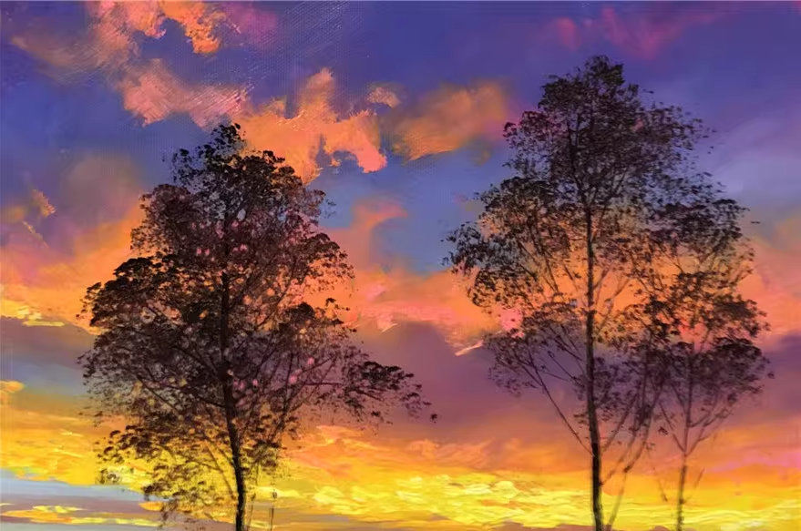 Original Oil Painting – Morning Glow | Hand-Painted Impressionist Birch Tree Sunset Landscape by Ji Un Sung 12001