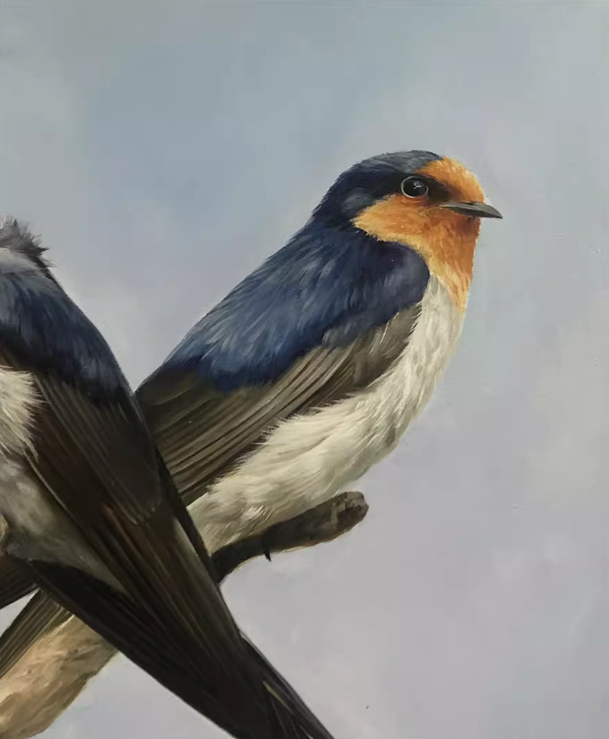 Original Oil Painting – Swallows | Hand-Painted Hyper-Realist Bird & Animal Art by Kim Kyung Mi G2333