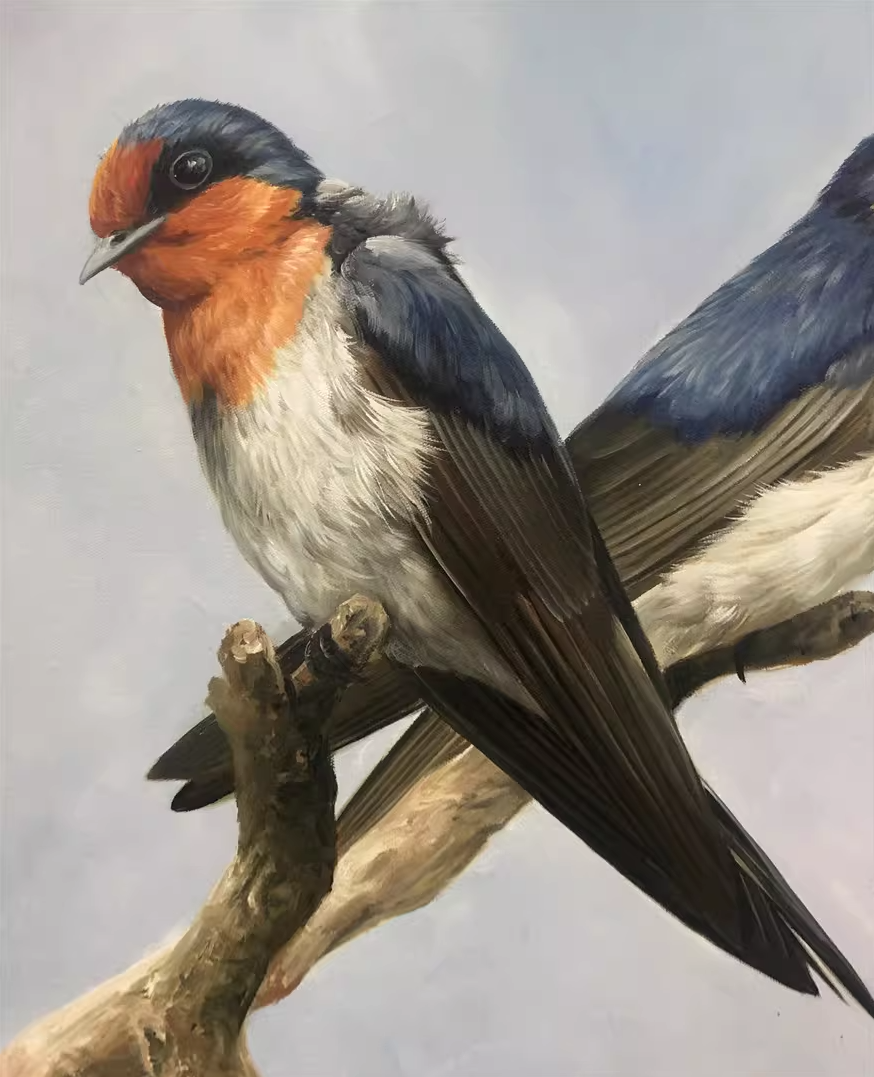 Original Oil Painting – Swallows | Hand-Painted Hyper-Realist Bird & Animal Art by Kim Kyung Mi G2333