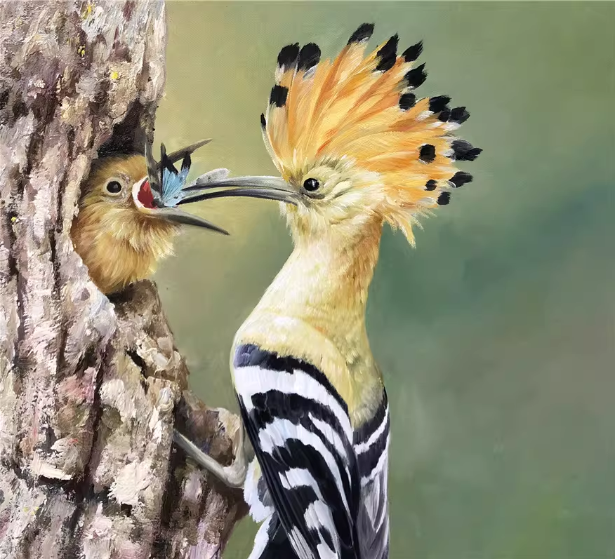 Original Oil Painting – Hoopoe Feeding Chick | Hand‑Painted Hyper‑Realist Bird & Animal Art by Kim Kyung Mi G2045