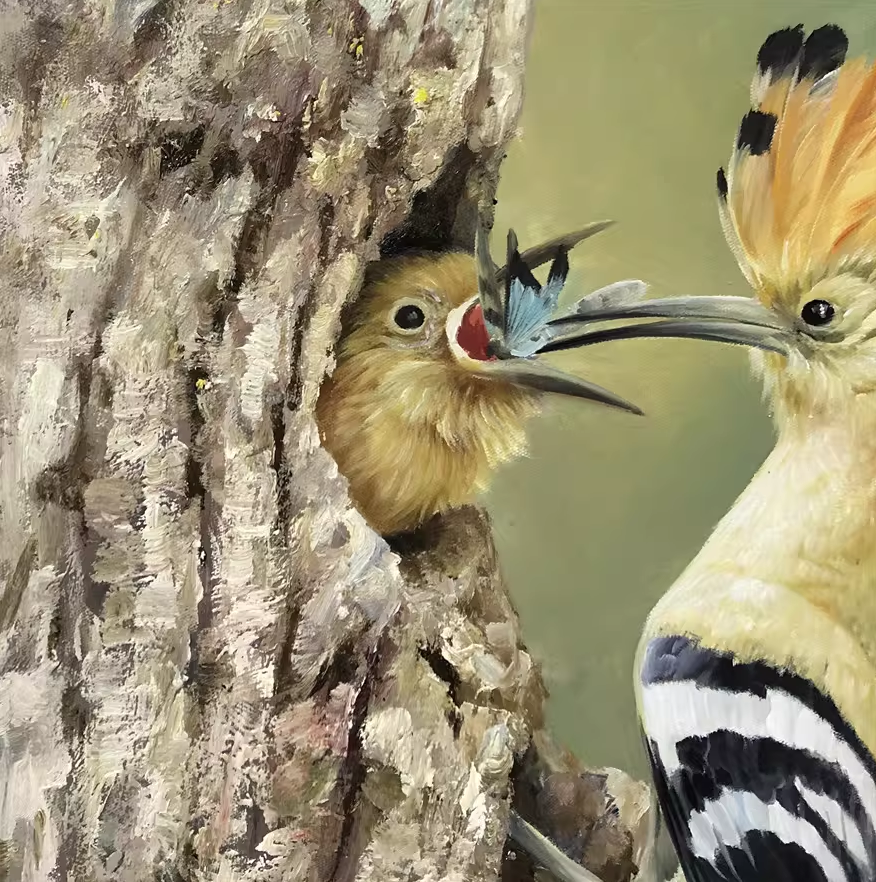 Original Oil Painting – Hoopoe Feeding Chick | Hand‑Painted Hyper‑Realist Bird & Animal Art by Kim Kyung Mi G2045