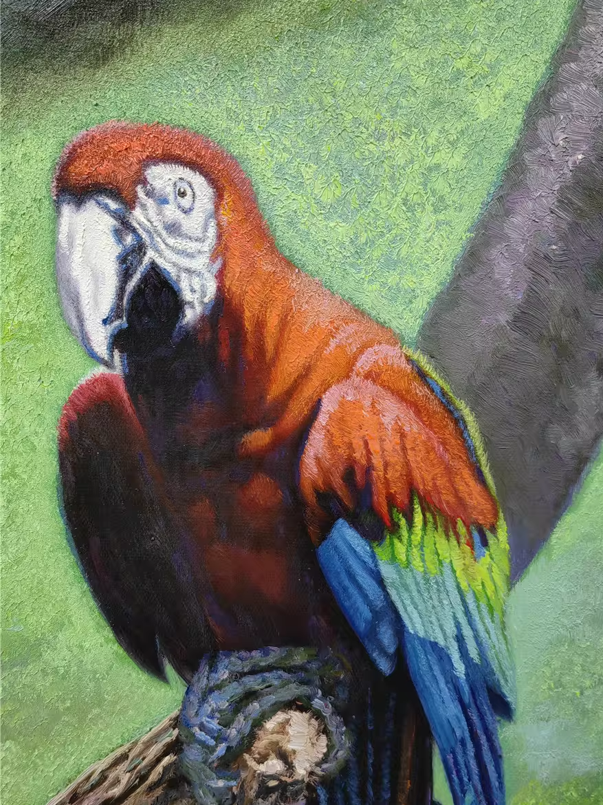 Original Oil Painting – Scarlet Macaw | Hand-Painted Hyper-Realist Bird & Animal Art by Pak Kim Chol 8576