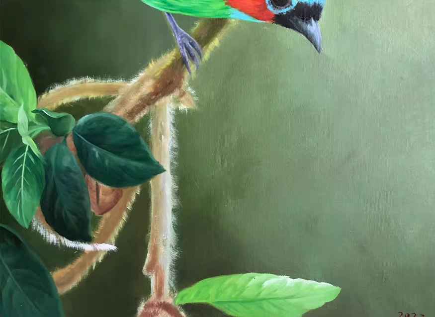 Original Oil Painting – Colorful Tropical Bird | Hand-Painted Hyper-Realist Bird & Animal Art by Kim Kyung Mi G2074