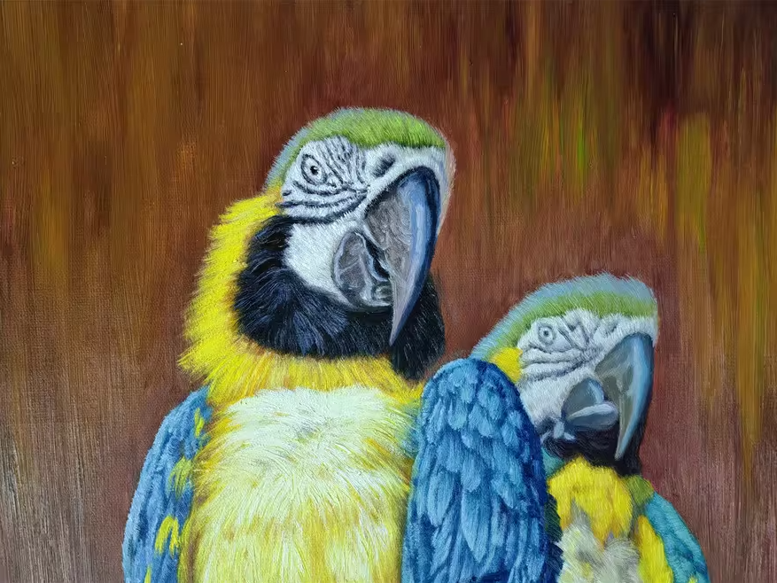 Original Oil Painting – Blue and Yellow Macaws | Hand‑Painted Hyper‑Realist Bird Art by Pak Kim Chol 8594