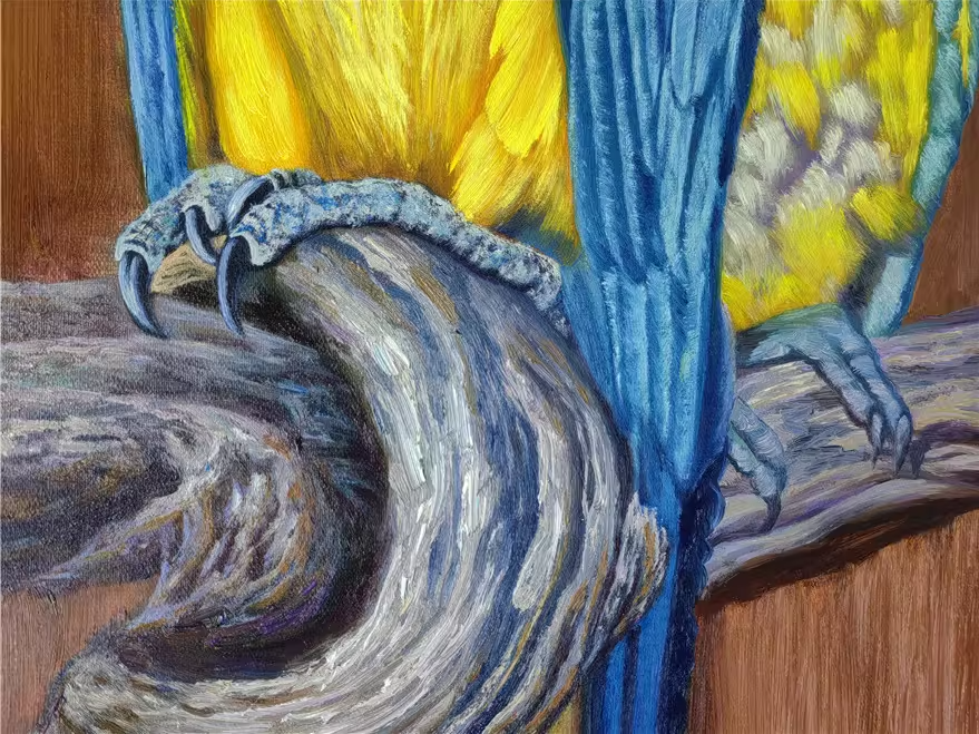 Original Oil Painting – Blue and Yellow Macaws | Hand‑Painted Hyper‑Realist Bird Art by Pak Kim Chol 8594