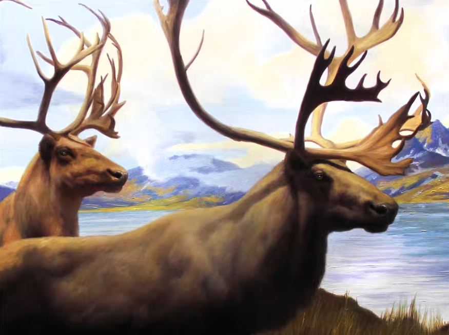 Original Oil Painting "Reindeer by the Lake" by Meritorious Artist Kim Young Chul – Collectible Hand-Painted Realist Wildlife Art 763
