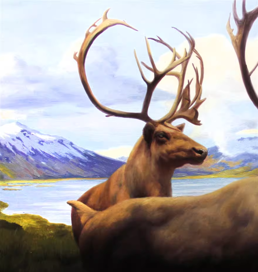 Original Oil Painting "Reindeer by the Lake" by Meritorious Artist Kim Young Chul – Collectible Hand-Painted Realist Wildlife Art 763