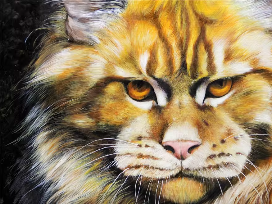 Original Oil Painting "Maine Coon Cat Portrait" by First-Class Painter Kim Jong Su – Collectible Hand-Painted Hyper-Realist Animal Art 758
