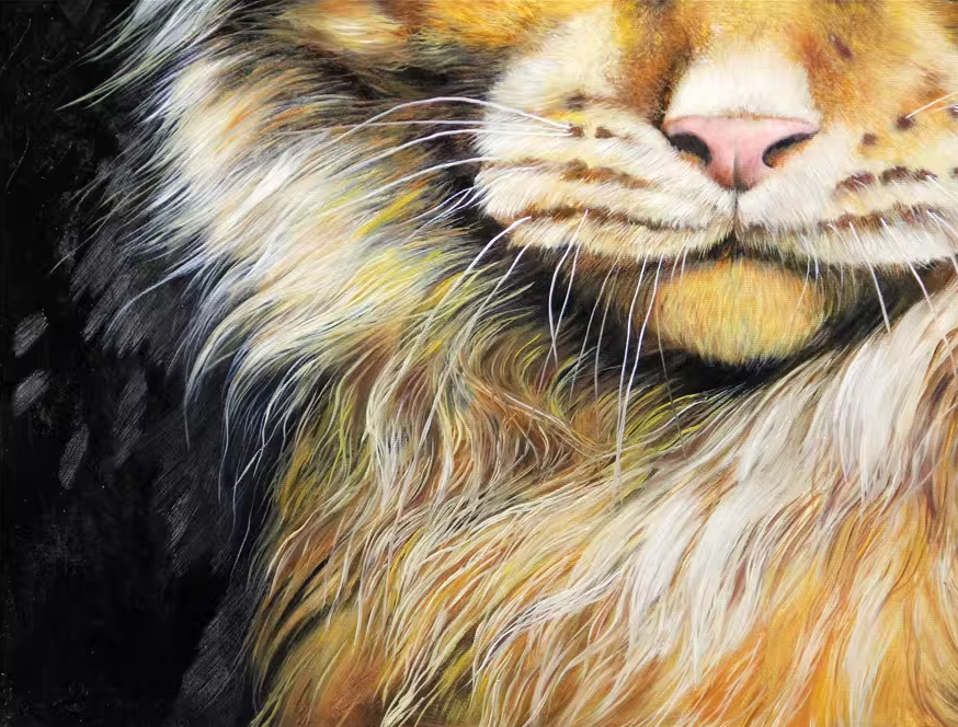 Original Oil Painting "Maine Coon Cat Portrait" by First-Class Painter Kim Jong Su – Collectible Hand-Painted Hyper-Realist Animal Art 758