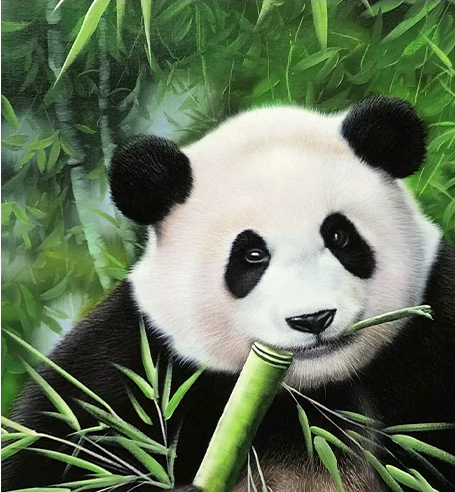 "The Zen of Bamboo" – Original Hyper-Realistic Giant Panda Oil Painting by Master Artist Ji Chol Rim 15336