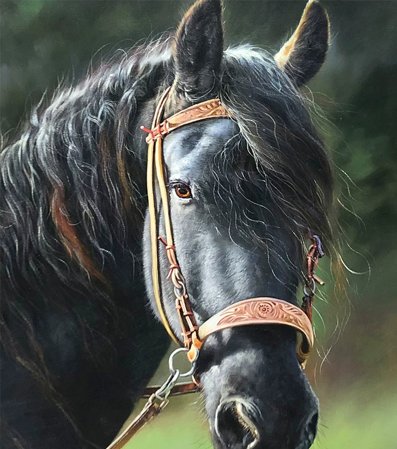 "The Sovereign Noir" - Original Hyper-Realistic Stallion Portrait Oil Painting by First-Class Artist Jin Rye Hae | 71x101cm Hand-Painted Black Horse Majesty Canvas 15948