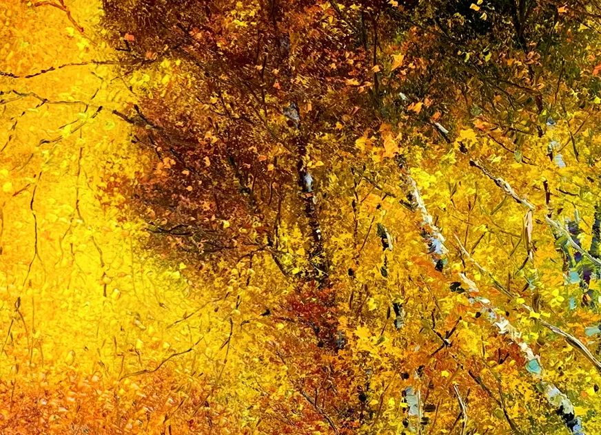 "The Golden Canopy of Abundance" - Original Impasto Birch Forest Autumn Oil Painting by First-Class Artist Chi Un Seong | 90x60cm Hand-Painted Textured Landscape Fine Art Canvas 8238
