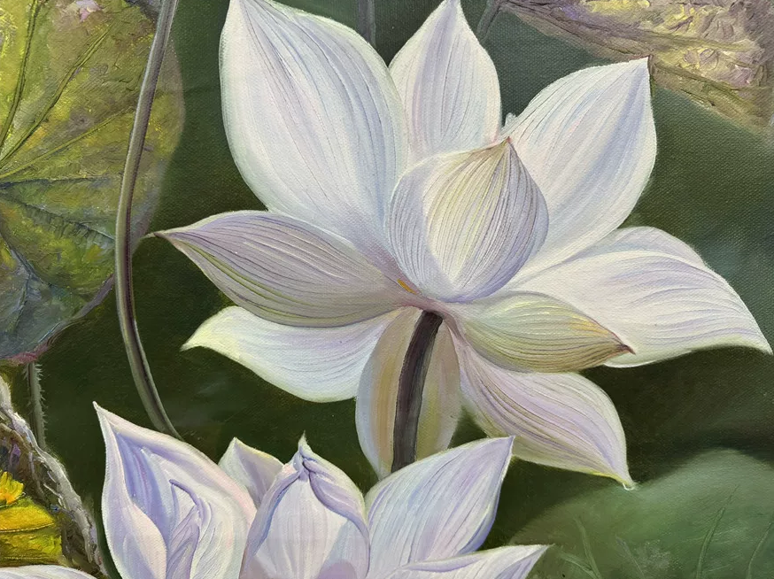 "The Pure Luminescence of Harmony" - Original Classical Hyper-Realistic Floral Oil Painting by First-Class Artist Pak Hae Yon | 99x55cm Hand-Painted Translucent White Lotus Canvas 19370