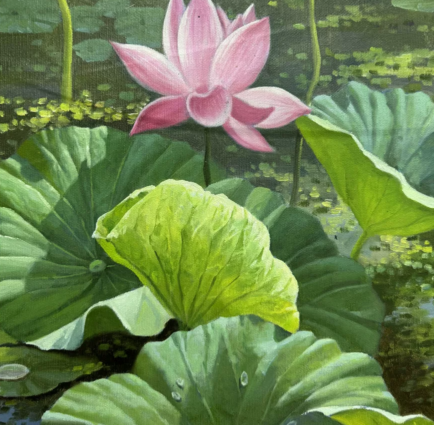“Lotus Pond Scenery” Original Lotus Flower Oil Painting 19955