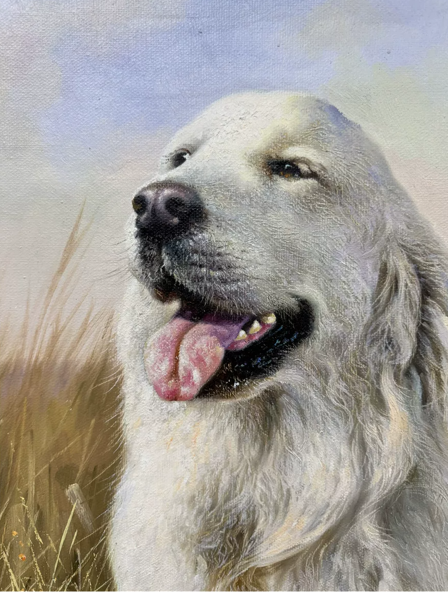 Original Labrador Retriever Oil Painting by Zhang Zhexun 19888