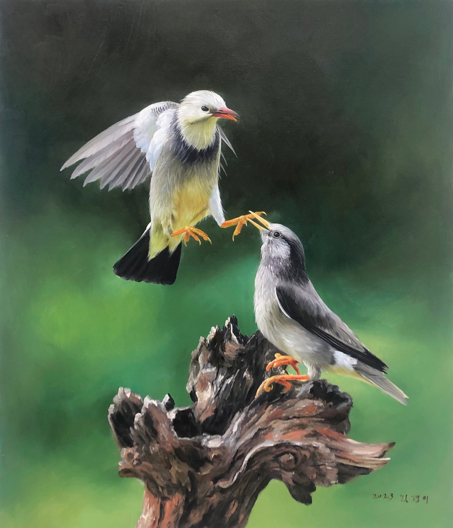 Original Oil Painting "Starlings" by First-Class Painter Kim Kyung Mi – Collectible Hand-Painted Wildlife Art G2345